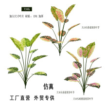 ���ͷ���Gֲ���~���10�^�ش�����Ҿ���ؙ����[�O�b٘�����