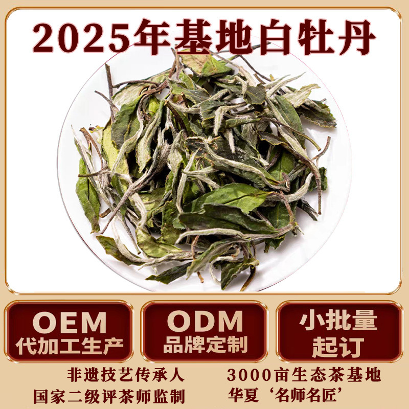 Alpine Old Tree White Peony Fragrance Fuding White Tea Fuding Local Delivery Peony Loose Tea 500g Wholesale Available for Customization