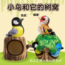 �羳Ȥζ����ë�q����B�C������ż��ľ�B���Ѓ�ͯ�Y�����@�[��