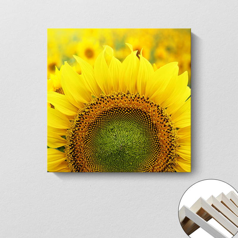 Pintura decorativa coreana girasol Sala de estar moderna y simple flores de sol colgando pintura mural del dormitorio del restaurante pintura cuadrada sin marco