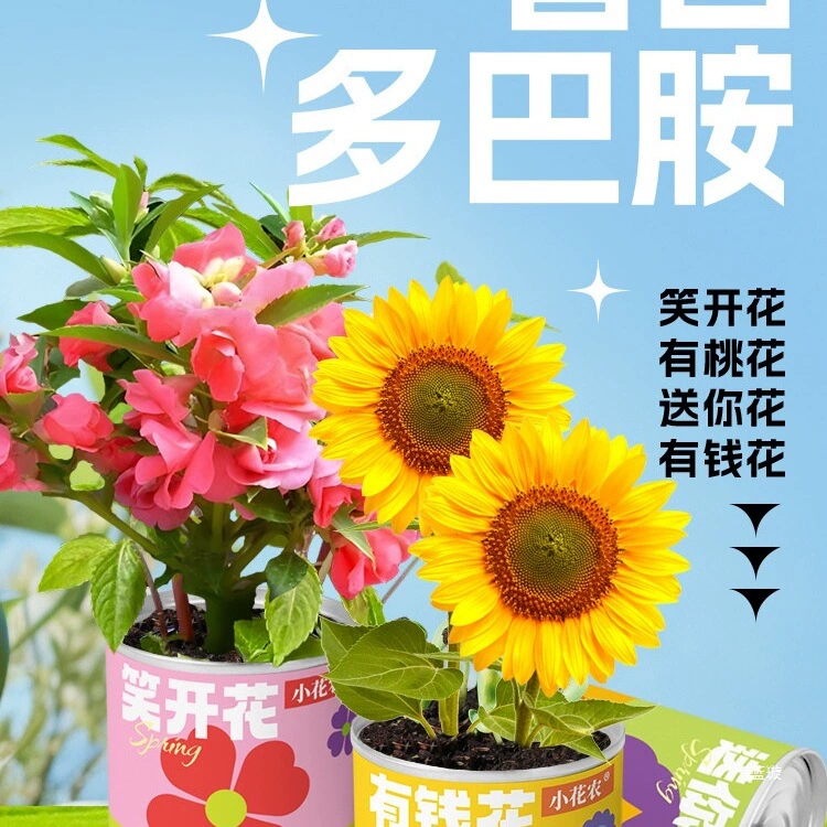 Подарки к Дню защиты детей Подарки для растений допамина Подарки для офиса День посадки деревьев