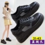 新款网面镂空透气女鞋