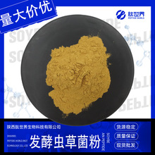 99%发酵虫草菌粉 冬虫夏草提取物虫草菌粉现货供应发酵虫草菌粉