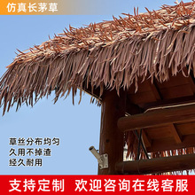 ����é�ݸ����ˮë����픵����r�Ҙ���ͤͥԺ�b��쾰����é����