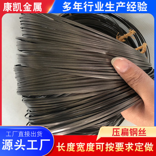 供应 不锈钢扁丝 压扁钢丝 箱包钢丝 书包钢丝 规格可定 制-阿里巴巴