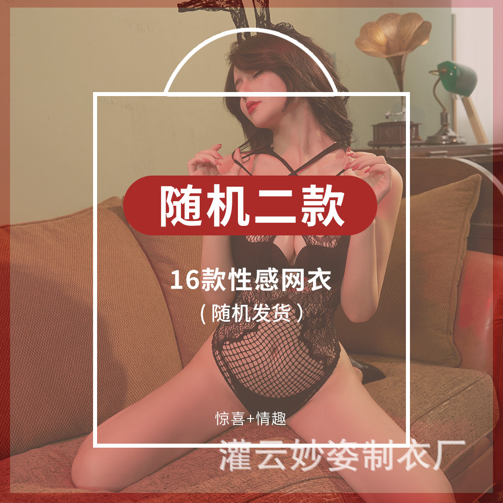 카테고리 B의 두 단락