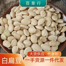 �ױⶹ �ⶹ�� �ױⶹ�� �ױⶹ ���ױⶹ�ױⶹ�۴�؛���l�����