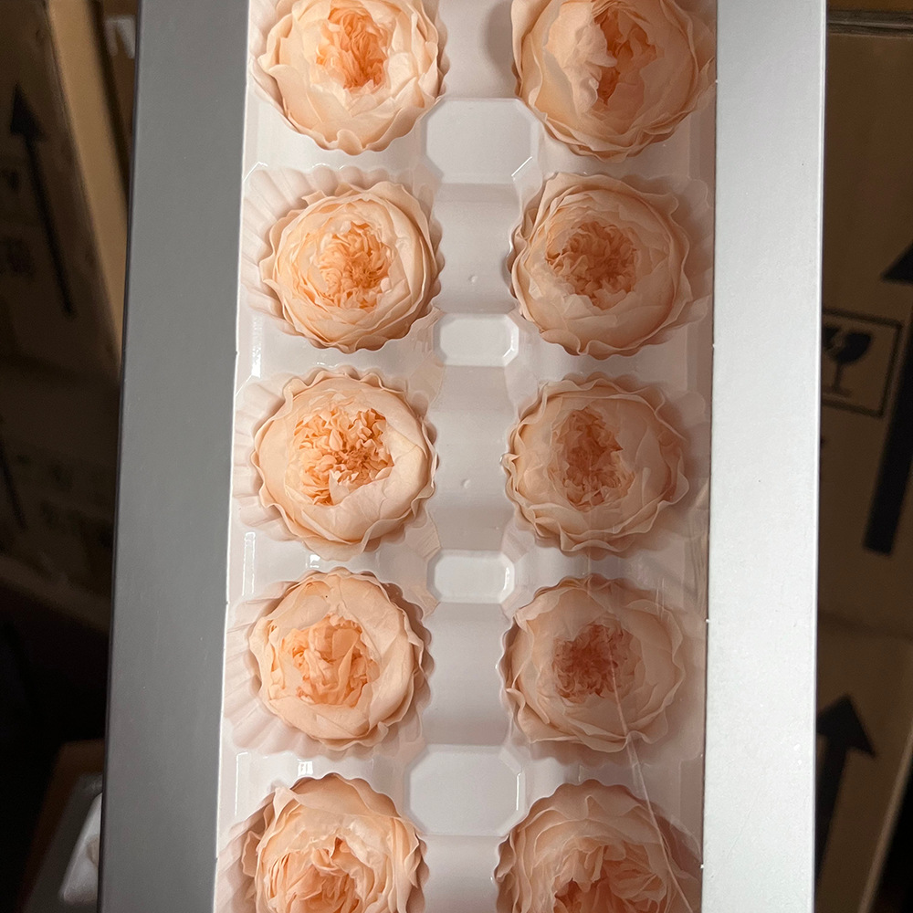 Grado A 3 - 4cm Champa 10 flores / caja