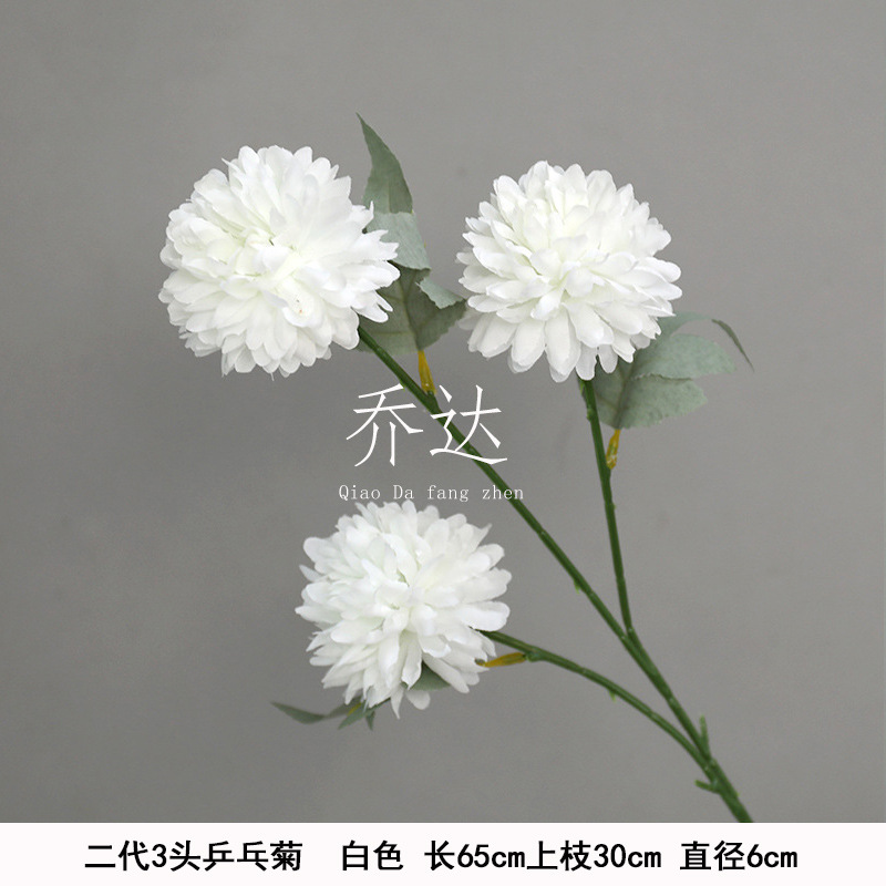 Segunda Generación de 3 cabezas de ping pong crisantemo