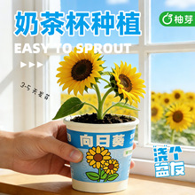 ��ͯ�NֲС���Ի���ֲ��N������ɐۈ@ˇ����diy�W����ͯ���Y��