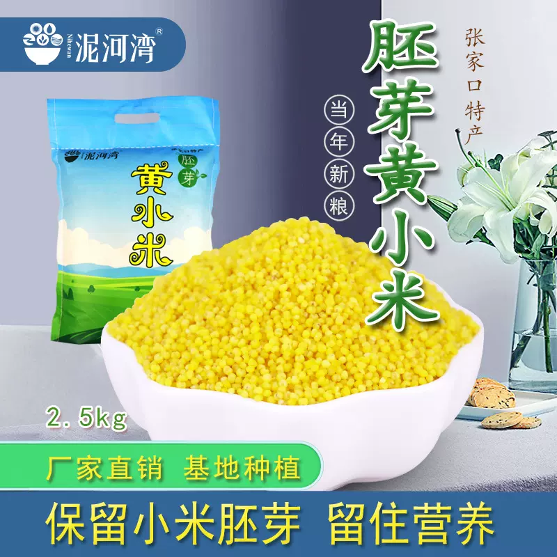 泥河湾黄小米5斤胚芽米 小米粥小黄米新米月子米五谷杂粮蔚县小米