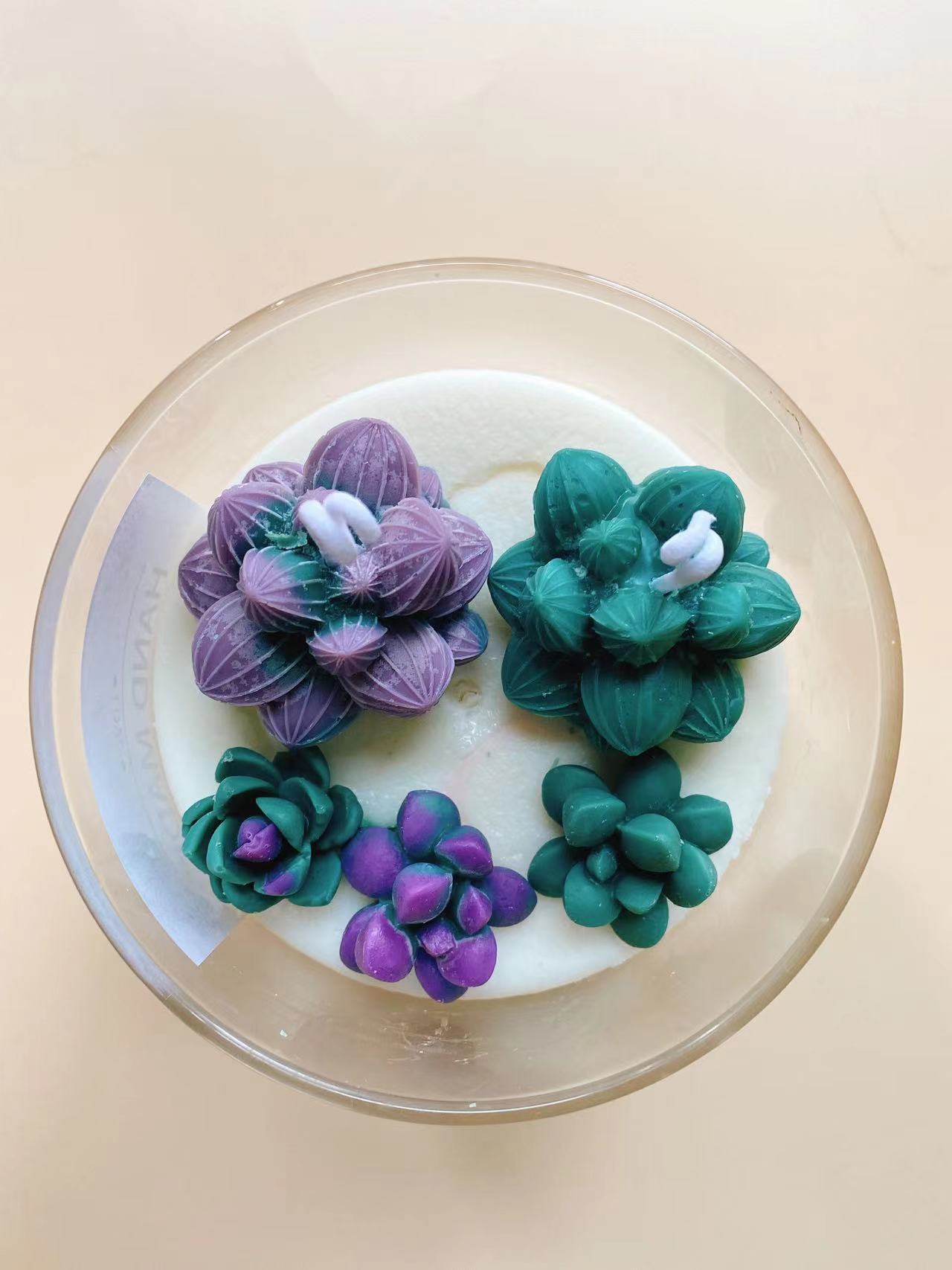 Suculentas cactus colección aromaterapia vela decoración de interior regalo cumpleaños