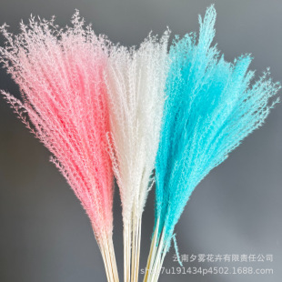 Ӳë���m�ɻ��������滨ins�L��Y�Ҿ��b����Ĕz����diy�廨
