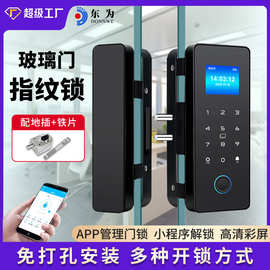 东为FL100玻璃门密码锁免打孔商铺用办公室指纹锁单双门玻璃门锁
