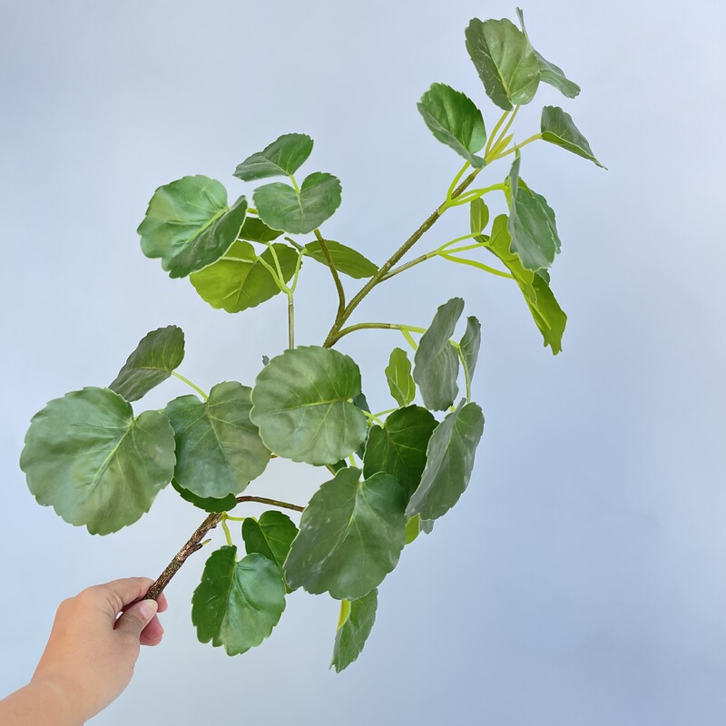 Simulation money pocket natural fresh simulation green plant leaves money leaves home decoration flower arrangement tree potted plant matching materials Simulation money pocket natural fresh simulation green plant leaves money leaves home decoration flower arrangement tree potted plant matching materials