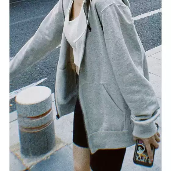 Cross-Border 10-Color Ralph Lauren Basic Hoodie with Small Pony Embroidery Logo, Unisex Zip-Up Jacket, Street Style