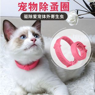 ������x�Ȧ؈�乷���w������Ȧ��s���{�����Ȧ������Ʒ���l