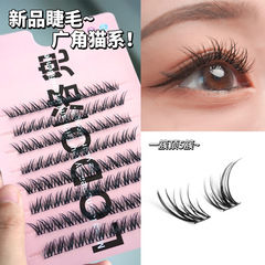 洛兜LODO廣角貓系斜飛自然款假睫毛日常小惡魔芭比漫畫單簇分段式