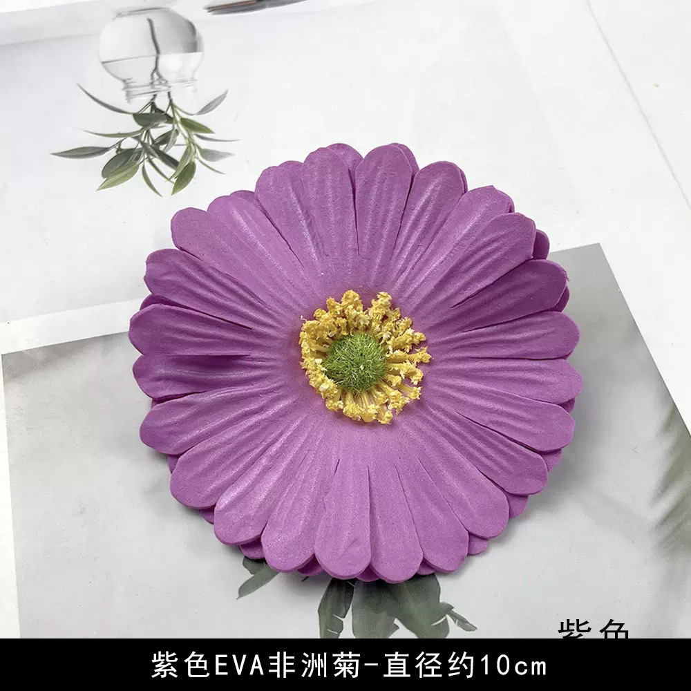 Eva gerbera