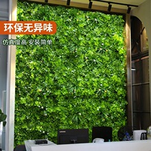 �������Gֲ�������⾀�h����ֲ�ﱳ������ˮ�ܷ����ƺ�̨�b�