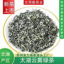 古雨春绿茶新茶批发整箱太湖产苏州茶叶散装500g高山云雾碧螺春