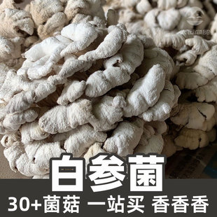 �ׅ���1��ʳƷ������ԭ�ϸ�ɢ؛schizophyllum
