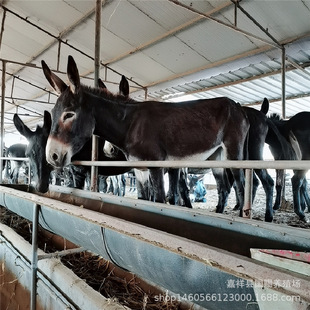 ���H�Bֳ�������H������H�������H������С���H���H���Bֳ��