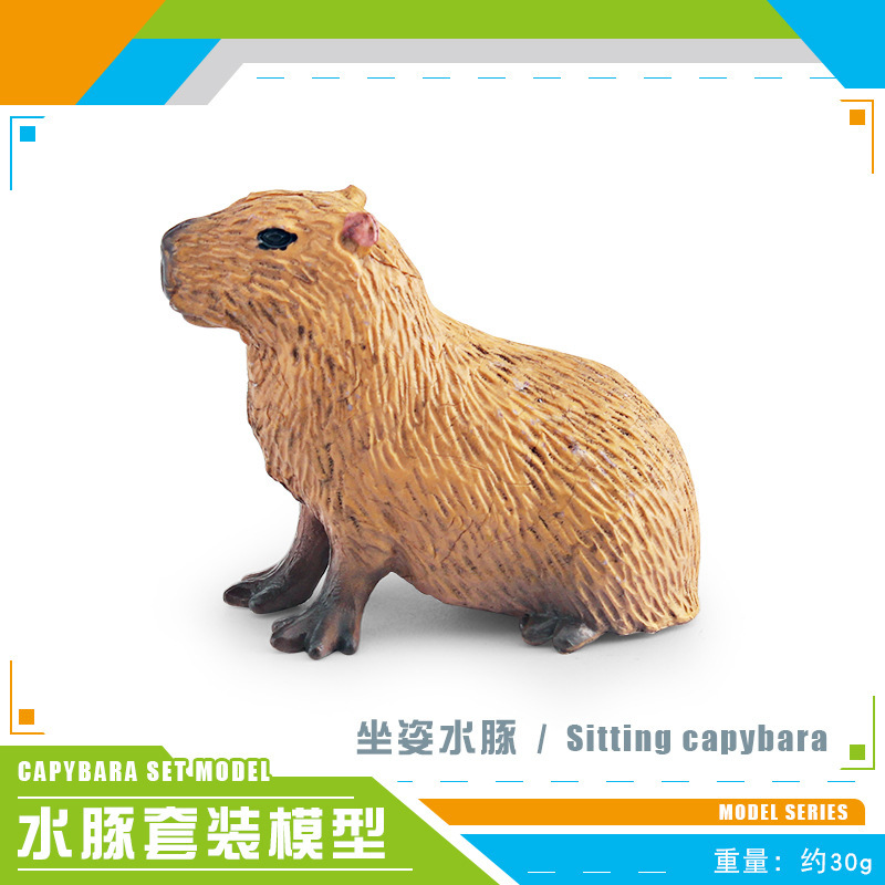 Simulación transfronteriza de animales forestales modelo de delfín de agua cognitivo infantil delfín de agua decoración de plástico estático juguete de decoración de mesa