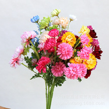 6�^����ٻ����滨 ��c���ļҾ��bٻ����޾շ��ɻ��Ƶ��b�