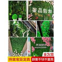 ����ֲ��˹��Gֲ�ٲ�Ƥ�҃ȱ����b����̨���ϲ�ƺ�\�Gɫ