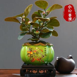 �����Ԏ���̦�\�����҃Ȳ�̨�k��������U���~�Ϙ��辰