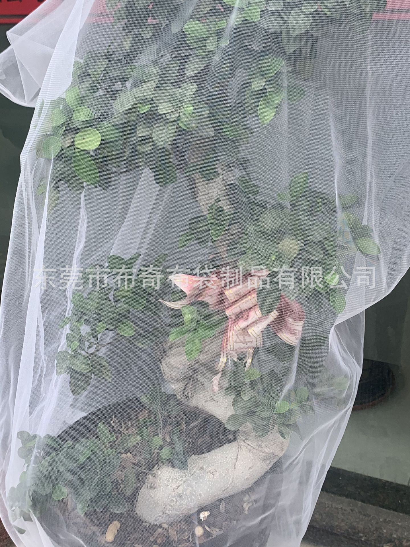 708bfe949d38b3f155aa0c950ef734