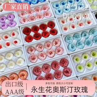 �������W˹͡õ�廨���|A��õ�廨�^4-5cm�����ֶY�л���DIY��Ƥ