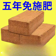 Ҭ�u�I�B���B������Gֲ���N�����S��ֱ�Nͨ����Ó�}Ҭ��Ҭ��