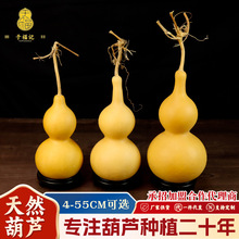 ������J�ְѼ���Ȼ�غ��J�S�����l�ؔ����u��ˇƷ�Lˮ�ҾӔ[��