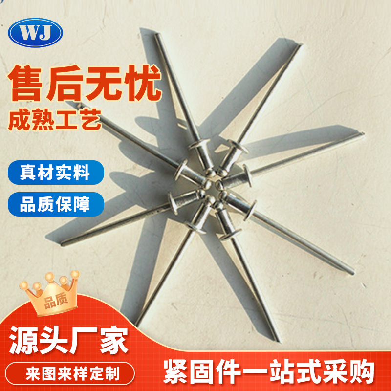 铆钉厂家批发 全铝铆钉 新款不锈钢铆钉大帽铆钉