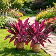 �羳ƽ̨������滨�tɫ����ľ��Ѫ�����t�콶diy�Gֲ�쾰�b�