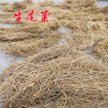 牛尾菜 野生干品牛尾蕨根 牛尾结大伸筋金刚豆藤包邮好货