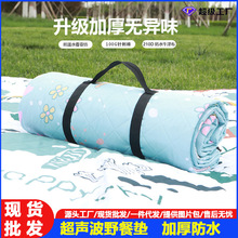 便携式野餐垫户外加厚防水防潮垫可机洗露营垫子超声波带铝膜地垫