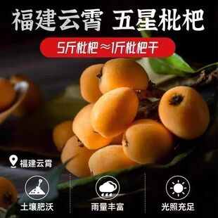 ���}���˸�ԭζ�ٷ���Ş��Ʒ�������a������o������������ʳ��