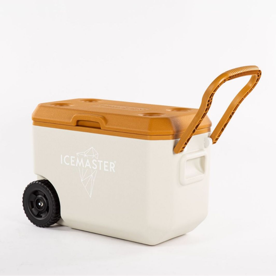 Ice Master incubadora para llevar coche al aire libre portátil hogar mariscos comida espuma de plástico fresco-mantenimiento caja congelador