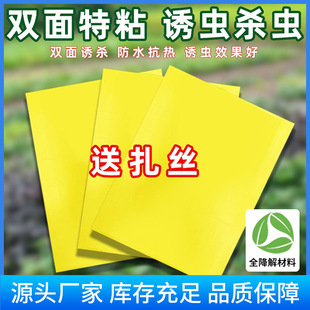 Biodegradable Insect Trap Board Double-Sided Yellow Board Blue Board Manufacturer Yellow Insect Dip Board Agricultural Thrips Garden Insect Trap Stickers