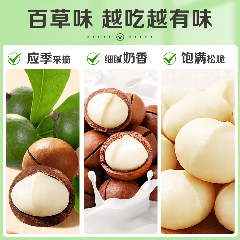 Baicaowei Cream Flavor Macadamia Nuts 100g Snack Nuts Daily Nuts Dried Fruit Wholesale and Distribution