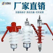 力王 FEG-12/5 防雷针式支柱绝缘子PSL-12/5ZS 陶瓷复合电力瓷瓶
