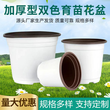 ��ɫ����PP���ϼӺ��pɫ���ݮ��������Nֲܛ����I�B���������l