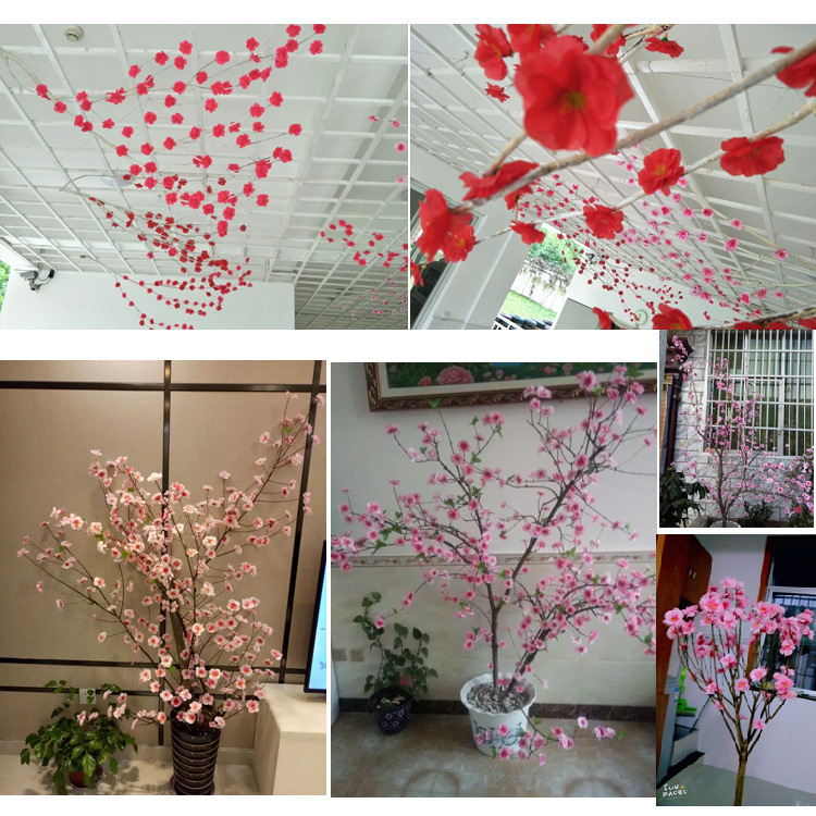 O1CN01rUMrlE1T1yYF11u6w_!!7768