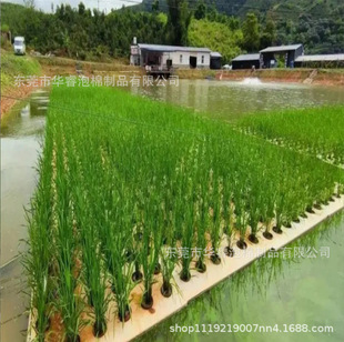 Eva planting floating board fish vegetable symbiosis floating board rice vegetable hydroponic floating bed EVA foam floating board manufacturers