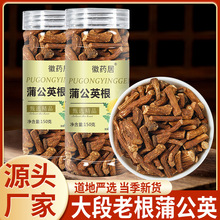 蒲公英根150克瓶装婆婆丁茶长白山粗壮大根新货批发代发