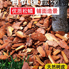 �ɘ�Ƥ���@���쾰���@ͥԺ���ؘ�Ѩ�b�ĥ���[��Ƥ�ЙC���w��