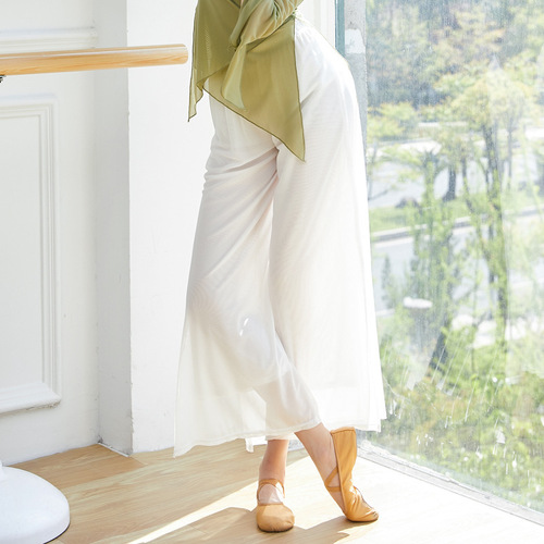 Classical dance practice pants for adult women with mesh body rhyme spring and summer new Chinese ancient style ethnic dance square elegant wide-leg pants